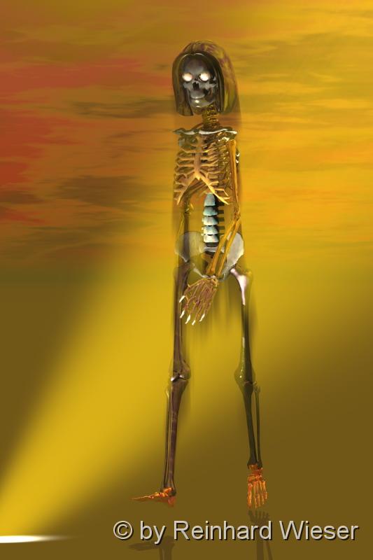skelett.jpg - Das Skelett